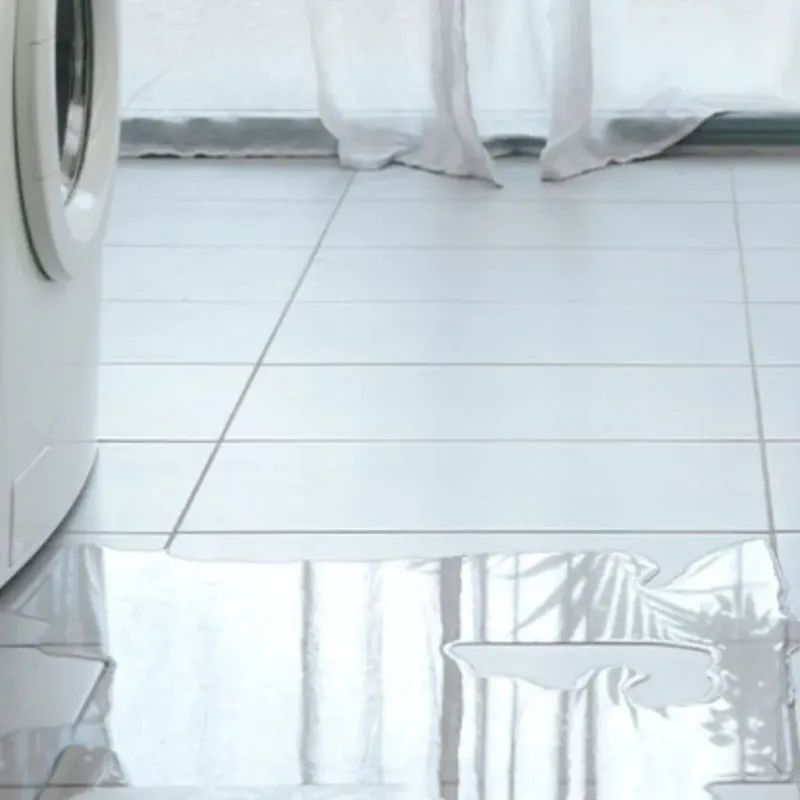 Appliance Leak Cleanup in Jollyville, TX